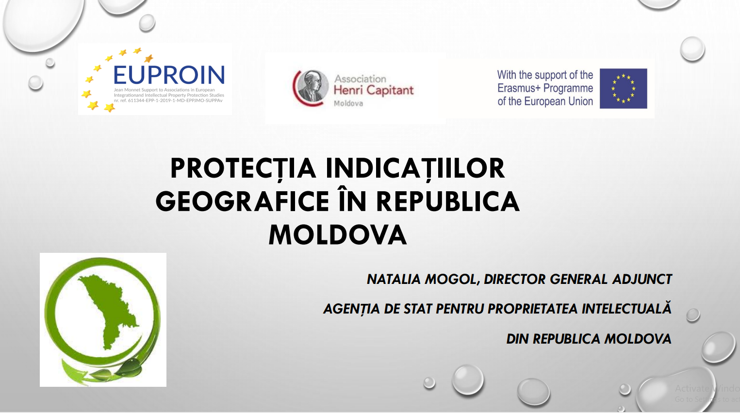 The protected geographical indications